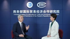 商务部国际商业经济合做研究院学术委员会副从